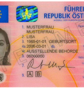 Führerschein Österreich